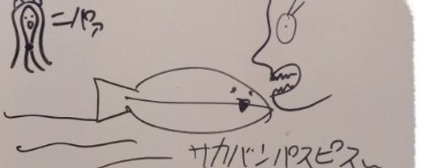 ルイさんの壁紙画像