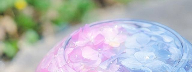 ねこさかな 𝐅𝐌⇒💐🥂🐑さんの壁紙画像