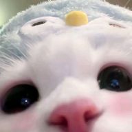 おりぃさんのアイコン画像