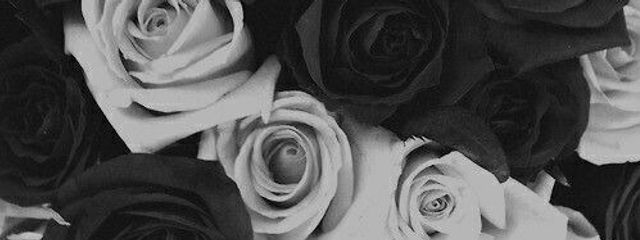 🍮🎮さんの壁紙画像