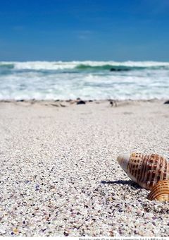 【d!】なんか気づいたら無人島にいたんですけど。一緒にいるこの人たち誰???