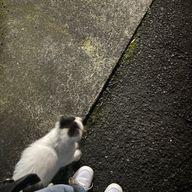 2u3さんのアイコン画像