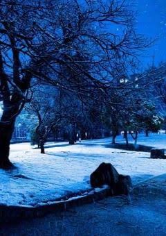 # 冬の雪空を見上げたら