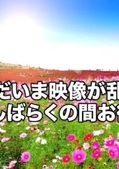 # バレンタイン？クソ喰らえ