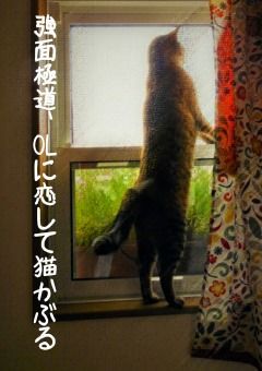 強面極道、OLに恋して猫かぶる