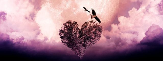 nnwさんの壁紙画像