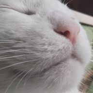 nnwさんのアイコン画像