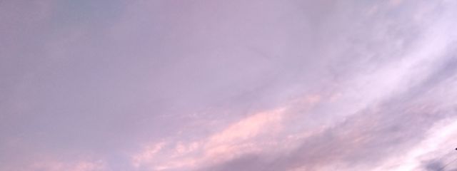 えびのたこ焼きさんの壁紙画像