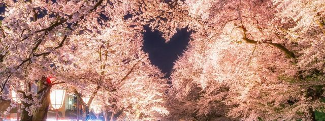 カバオくんさんの壁紙画像