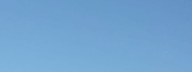 めい🫐さんの壁紙画像