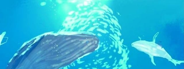 フィンランド # 一生フィンランドになろっかな(??)さんの壁紙画像