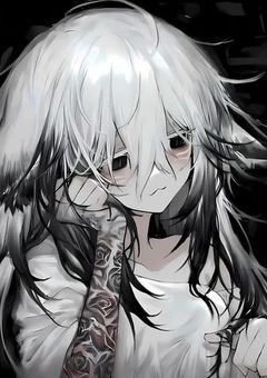 夢主メモ