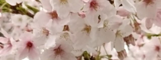 一ノ瀬 京斗@〜フォロバ100％さんの壁紙画像