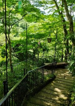 癒しはカフェの異形頭さん☕