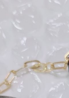 学園 の 王子 5人 、 1人 の 偽 陰キャ 義弟 に 夢中 な 件