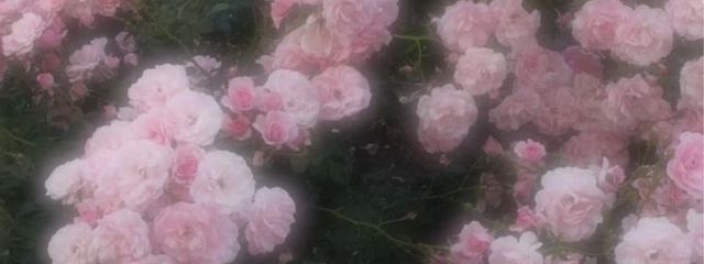 零(sub)さんの壁紙画像