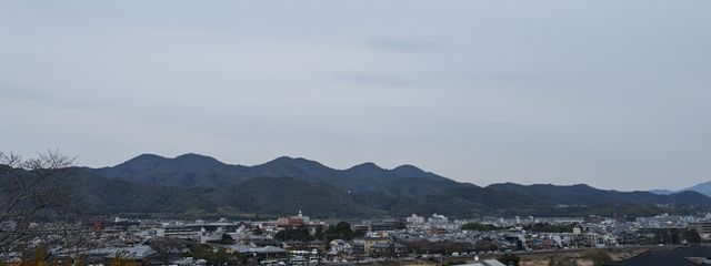 桜さんの壁紙画像