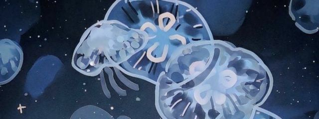 🐈‍⬛🩵桃瀬るかさんの壁紙画像