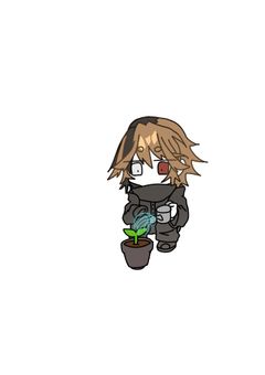 セダムの観察日記
