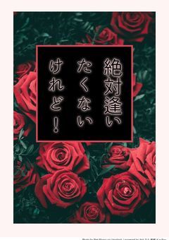 絶対逢いたくないけれど