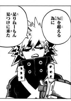 緑谷姉、ヴィランヒーロー