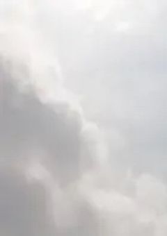 護衛のはずなのに、