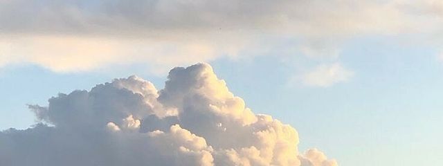 ISFJさんの壁紙画像