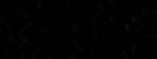 波瑠さんの壁紙画像