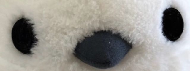 たら@100%フォロバさんの壁紙画像