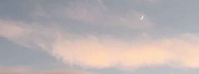 五月雨︎︎☁︎︎*.さんの壁紙画像