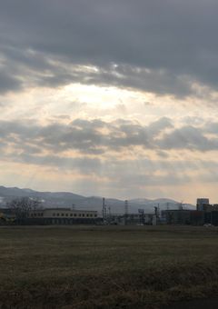 お知らせとか