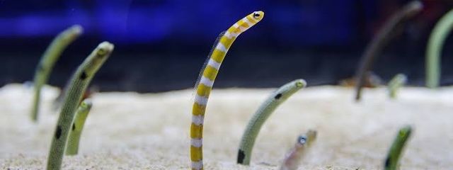 みるく🌙.*·̩͙ @少々多忙な為低浮上さんの壁紙画像