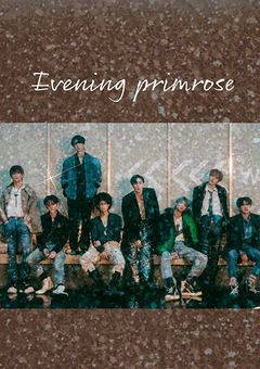 Eveningprimrose