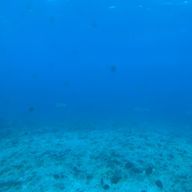 聖空　休憩中さんのアイコン画像