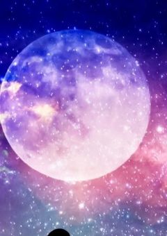 ちょっとした雑談