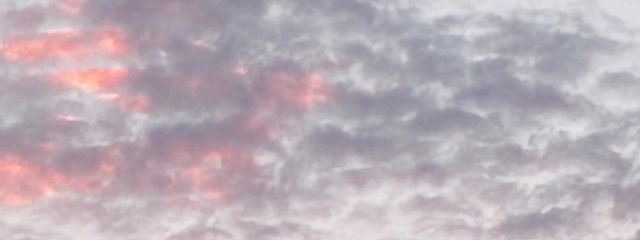 　⏦ﾟみおか⑅ॱ˖さんの壁紙画像