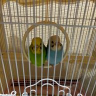 Kさんのアイコン画像