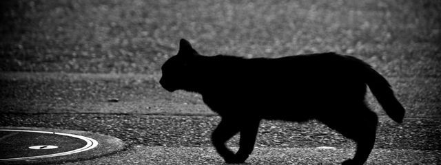 るな!!🫶さんの壁紙画像