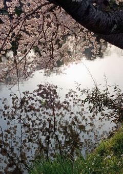 関係者様決め/お手伝い募集場