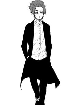 猫化した私は糸師兄弟に愛された!?