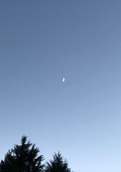 死ぬまでにしたい事