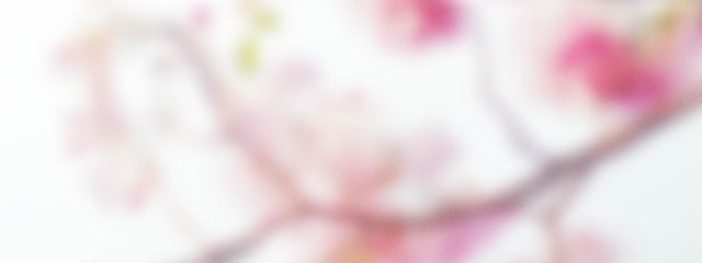 気象予報士のたくまくんさんの壁紙画像