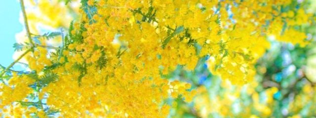 奈月さんの壁紙画像