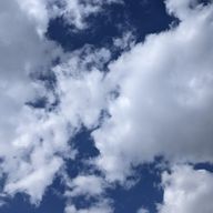 ミカさんのアイコン画像