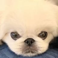 右角さんのアイコン画像