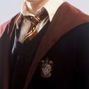 グリフフィンドール生(男子)