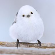 リリさんのアイコン画像