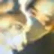 めめあべらぶさんのアイコン画像