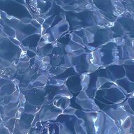 seaさんのアイコン画像