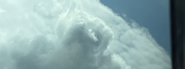 友紀さんの壁紙画像